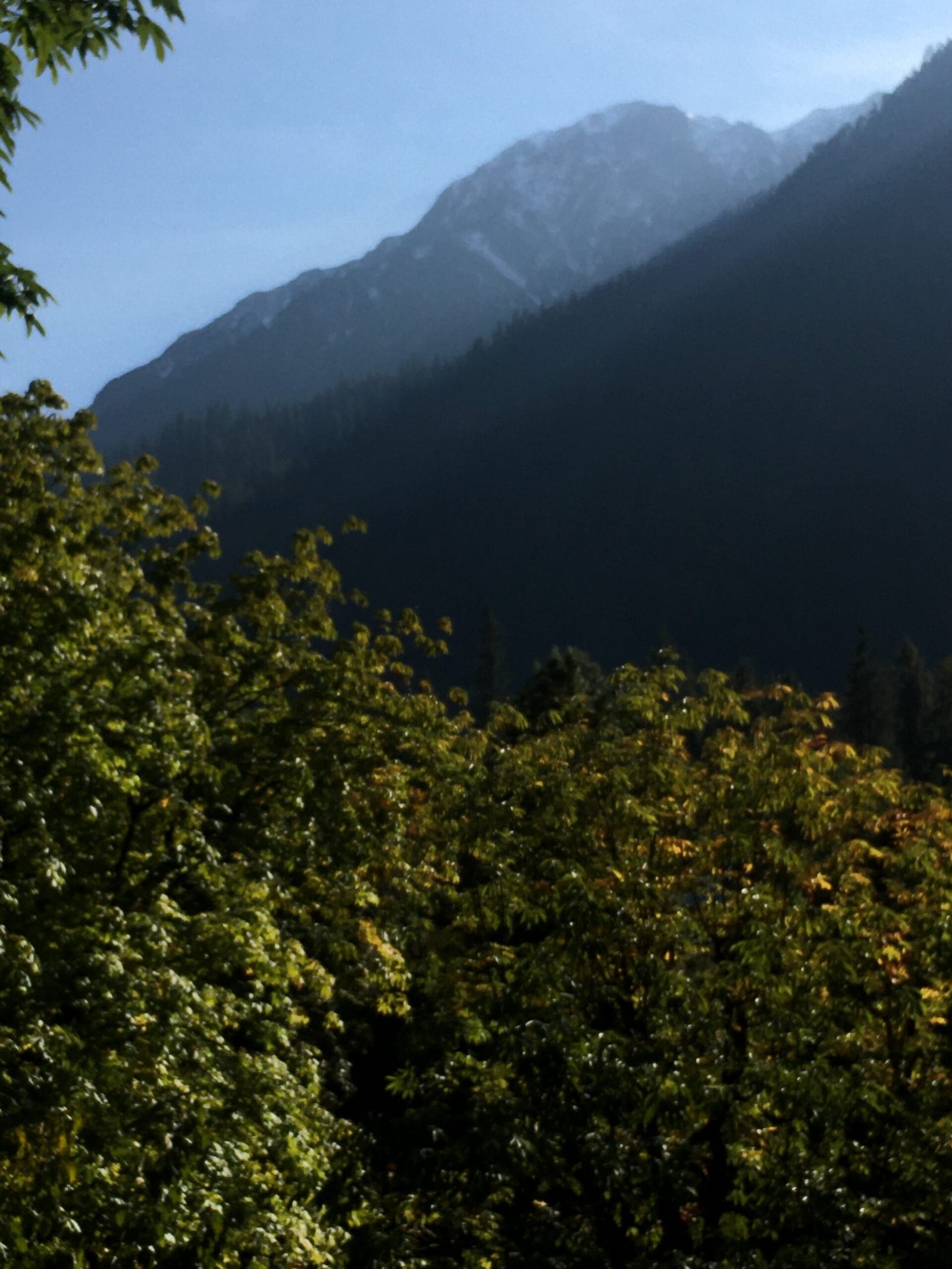 Rasool Kasol